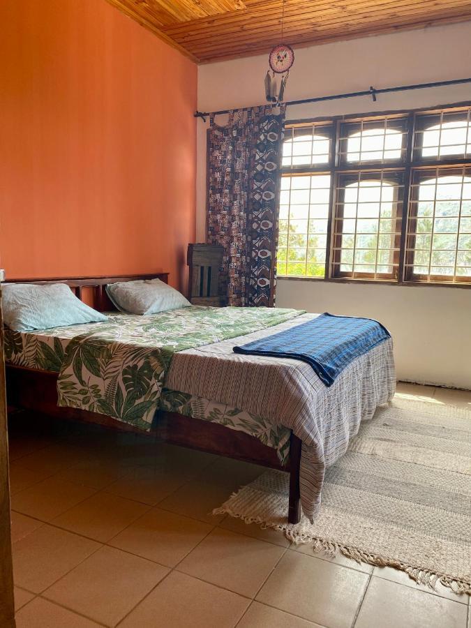 Hidden Valley Backpackers Иринга Екстериор снимка