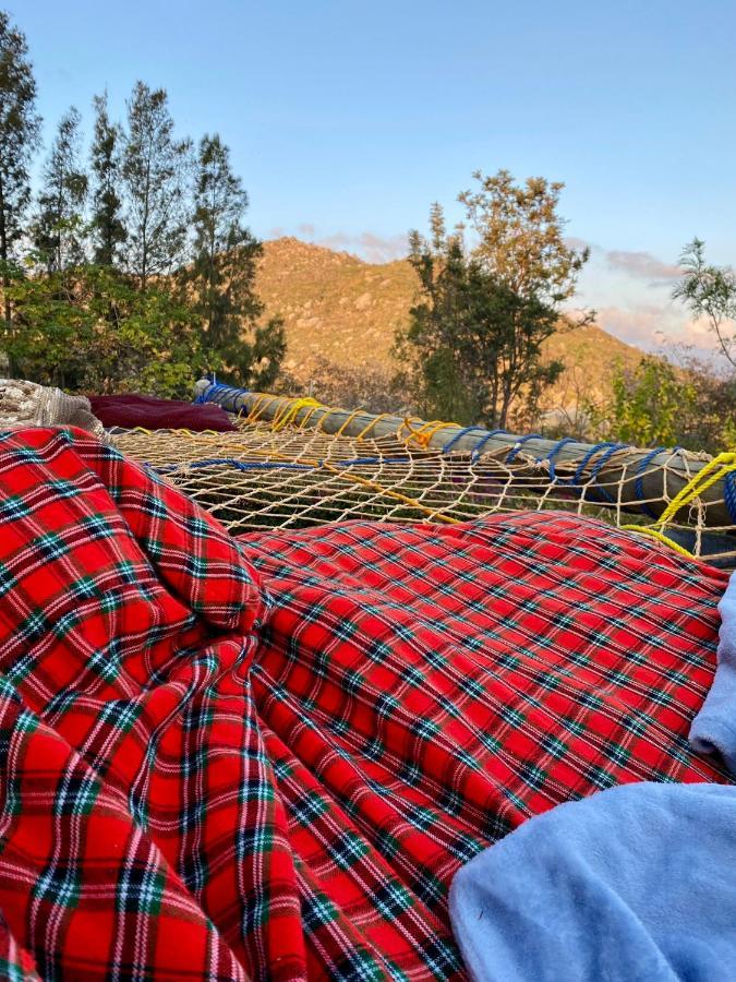 Hidden Valley Backpackers Иринга Екстериор снимка